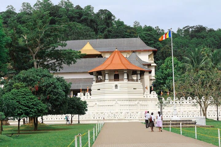 Kandy Day Trip from Hikkaduwa: Temple, Gardens & Cultural Show photo 2