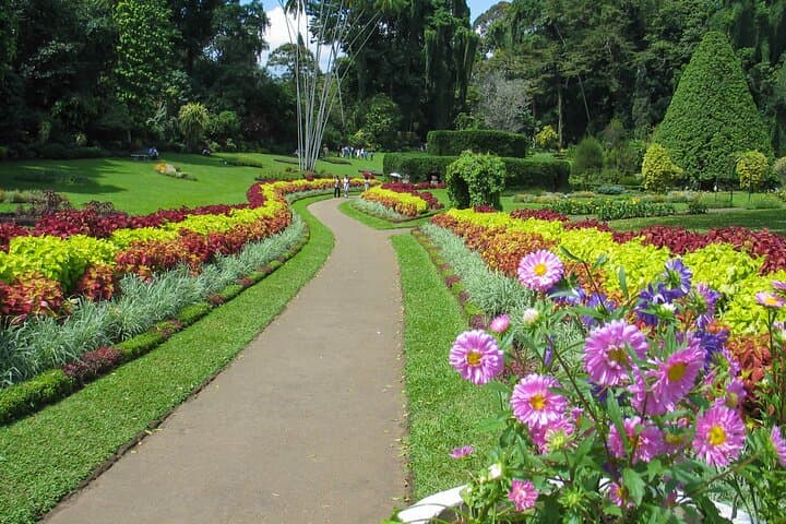 Kandy Day Trip from Hikkaduwa: Temple, Gardens & Cultural Show photo 4