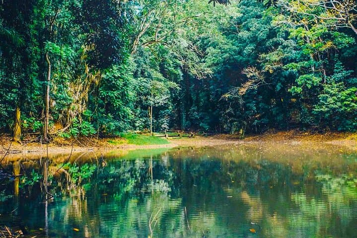 Udawattakele Forest Hike in Kandy: Ancient Trails & Birding photo 4