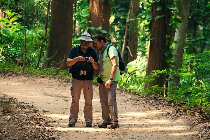Udawattakele Forest Hike in Kandy: Ancient Trails & Birding