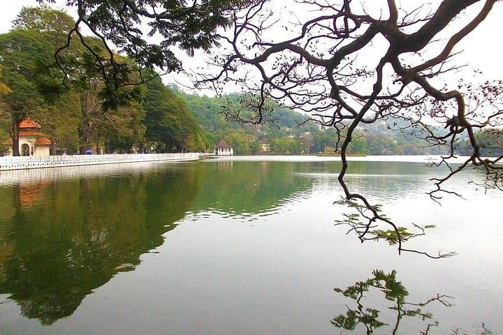 Private Kandy Day Tour: Safari, Spice Garden & Cultural Dance from Colombo photo 2