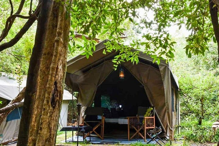 One-Night Camping in Wasgamuwa National Park: Overnight Safari Experience photo 1