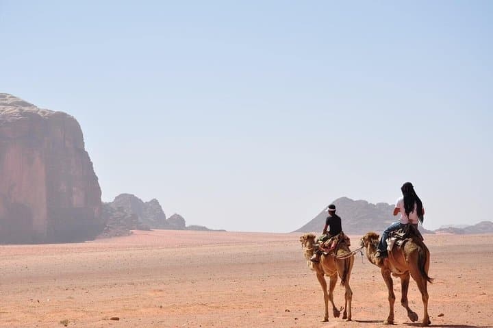Desert Ride in Sharm el Sheikh: Private Camel and Horse Trip Through Colored Rocks