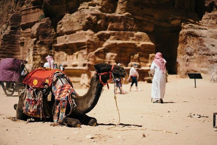 Desert Ride in Sharm el Sheikh: Private Camel and Horse Trip Through Colored Rocks photo 3