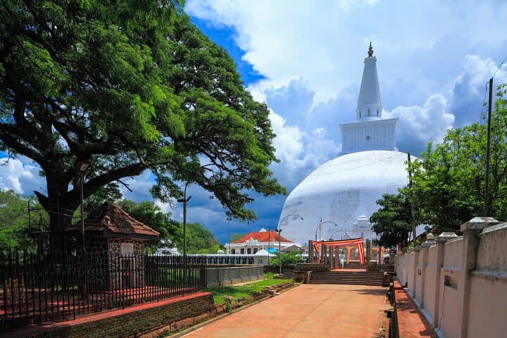 Exploring Anuradhapura: Full-Day Buddhist Icons Tour from Sigiriya photo 3