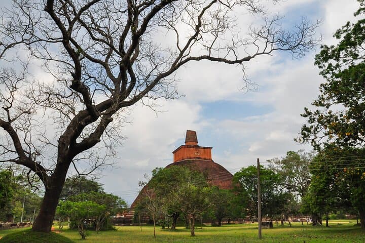 Exploring Anuradhapura: Full-Day Buddhist Icons Tour from Sigiriya photo 6