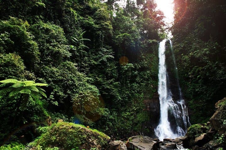 Lovina Dolphin Watching, Snorkeling & Git-Git Waterfall Day Tour Bali photo 6
