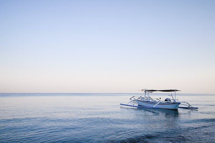 Lovina Dolphin Watching, Snorkeling & Git-Git Waterfall Day Tour Bali