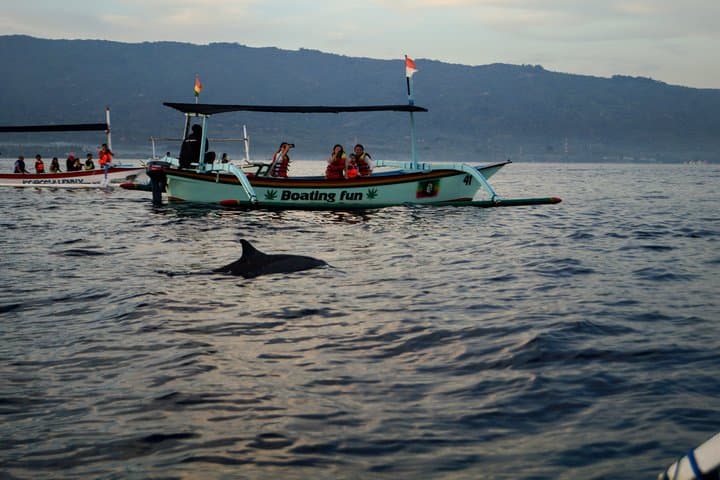 Lovina Dolphin Watching, Snorkeling & Git-Git Waterfall Day Tour Bali photo 5
