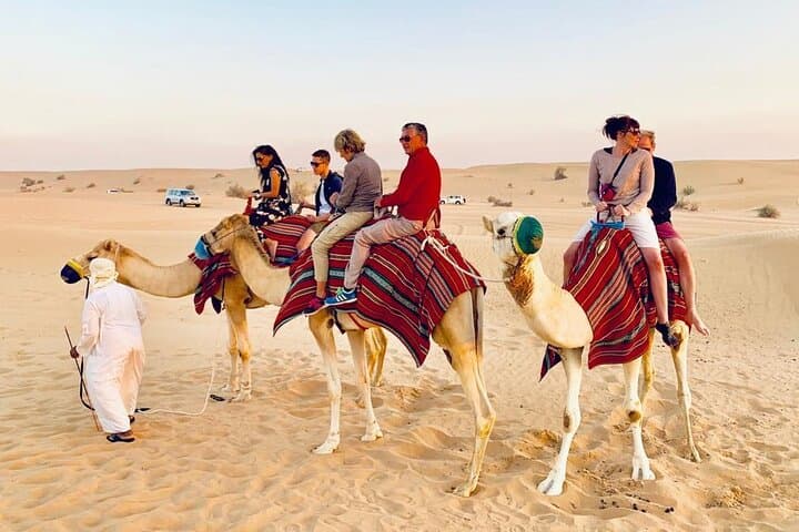 Red Dunes Desert Dune Buggy Self-Drive + Camel Ride — Dubai Adventure photo 2