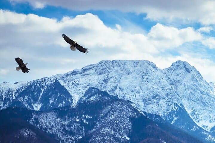 Zakopane and Chochołow Thermal Baths Day Trip from Krakow photo 4
