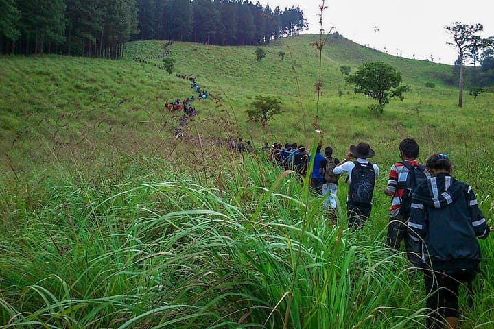 Hanthana Mountain Range Hike from Kandy: 6–9 km Hill-Country Trek and Tea Museum Stop photo 4
