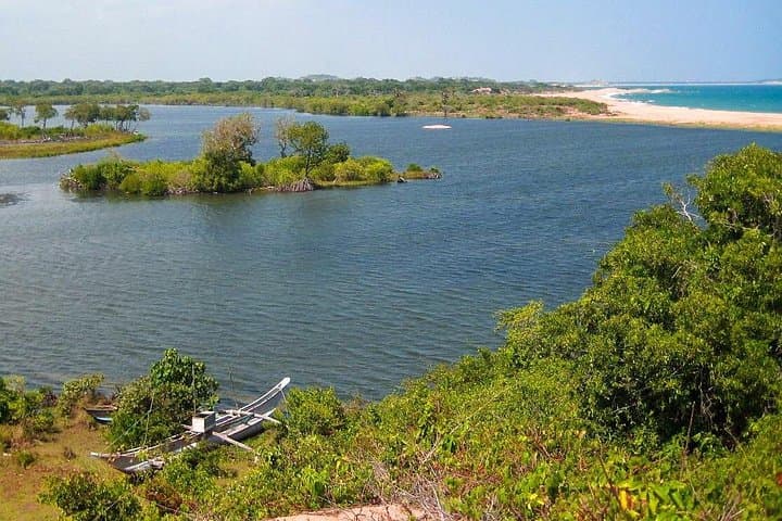 One Night Beach Camp from Panama — Arugam Bay Surf, Kumana Safari & Okanda Waves photo 2