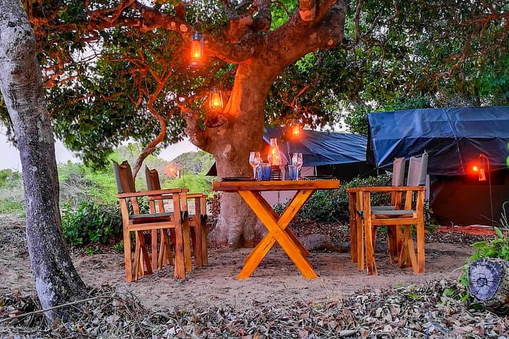 One Night Beach Camp from Panama — Arugam Bay Surf, Kumana Safari & Okanda Waves photo 3