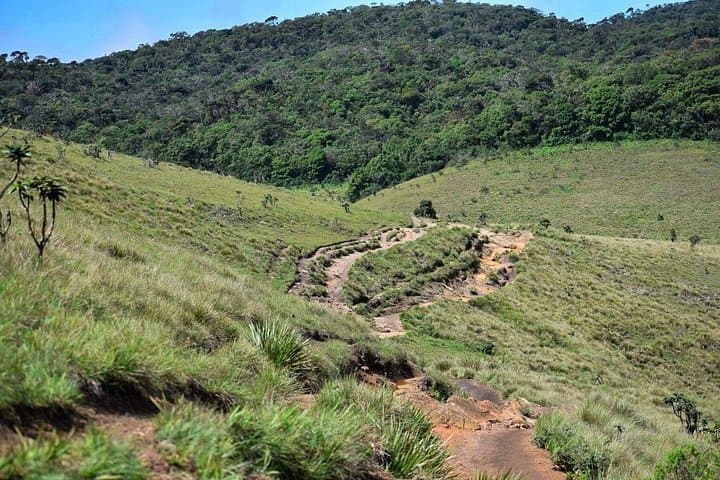 Horton Plains Hike from Ella: Full-Day 14 km Trek to World’s End photo 2