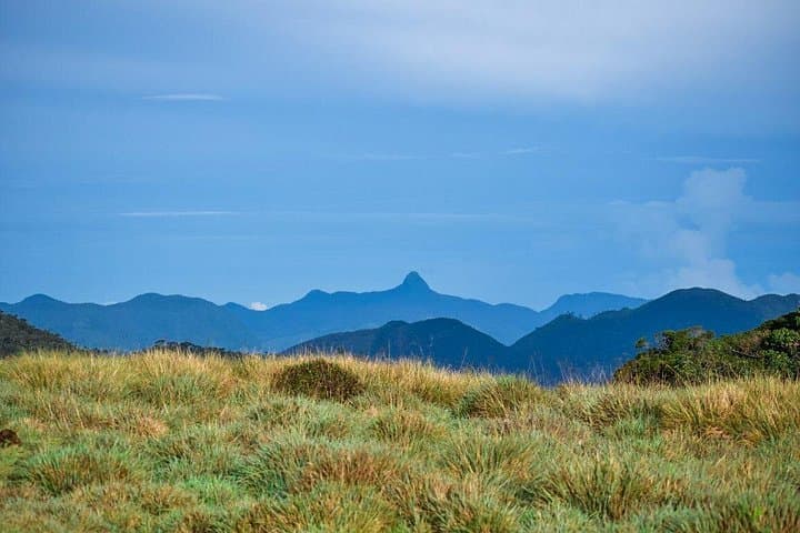 Horton Plains Hike from Ella: Full-Day 14 km Trek to World’s End photo 4