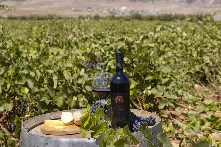 Discover Lebanon: 7-Day Private Highlights Tour from Beirut