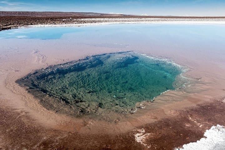 Baltinache Hidden Lagoons: Half‑Day Tour from San Pedro de Atacama photo 6