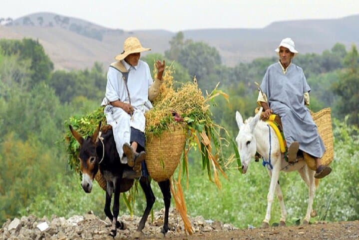 High Atlas 2-Day Trek: Overnight With a Berber Village Stay from Marrakech photo 2