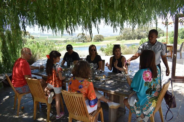 Cape Peninsula Full-Day Tour: Cape Point, Boulders Beach & 3 Changemaker Experiences photo 3