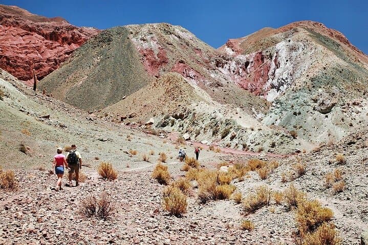 Trekking Rio Salado: Petroglyph Hike from San Pedro de Atacama photo 3