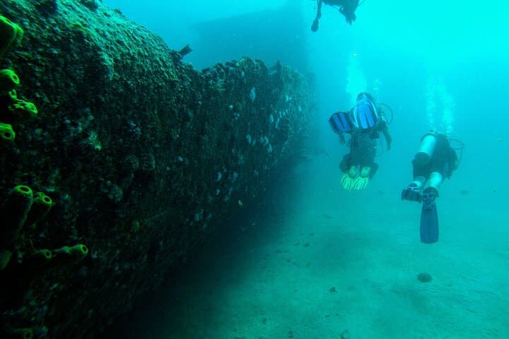 Aruba 2-Tank Certified Dive: Reefs, Wrecks & Morning Boat Excursion photo 4