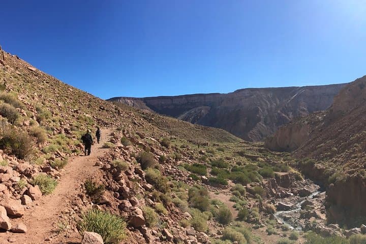 Trekking Rio Salado: Petroglyph Hike from San Pedro de Atacama