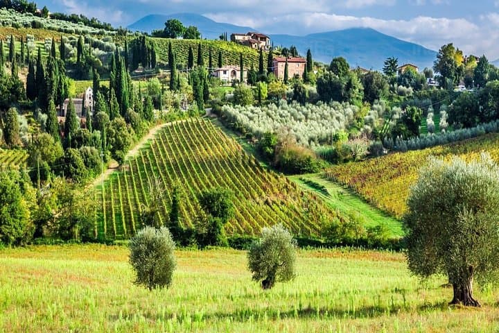 Truffle and Brunello VIP Experience from Florence — Taste Tuscany’s Truffles & Brunello