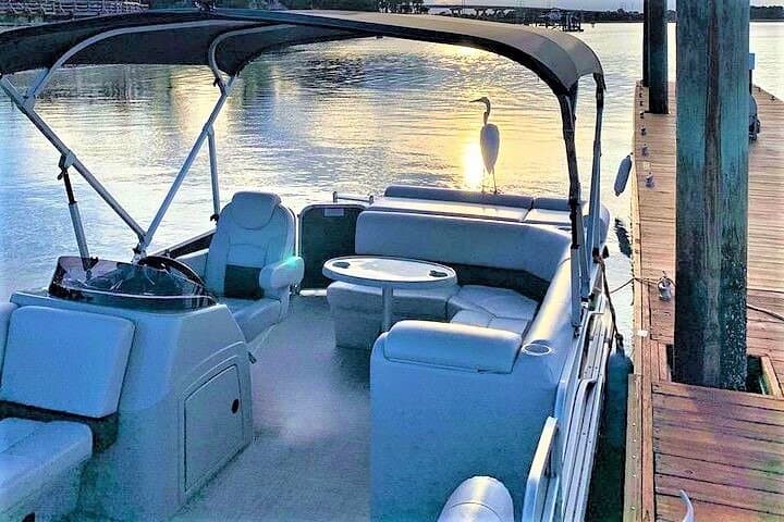 3-Hour Hilton Head Pontoon Rental: Skull Creek, May River & Daufuskie Island