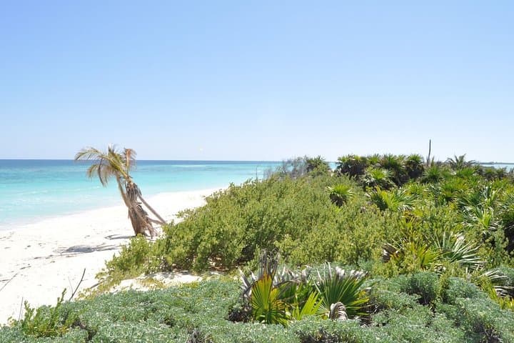 Full-Day Private Tulum, Cobá & Cenote Tour with Lunch from Playa del Carmen photo 2