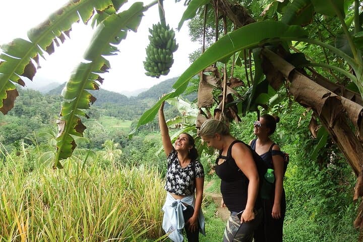 Heeloya Village Trek & Nature Pool Swim from Kandy — Knuckles Range Day Hike photo 2
