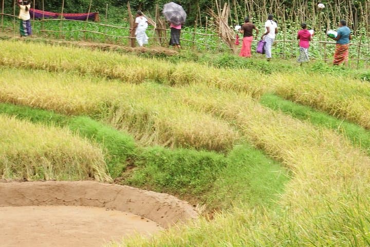 Heeloya Village Trek & Nature Pool Swim from Kandy — Knuckles Range Day Hike photo 3