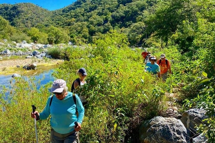 Sierra de la Laguna Waterfall Hike — Private Day Trip from Cabo San Lucas photo 4