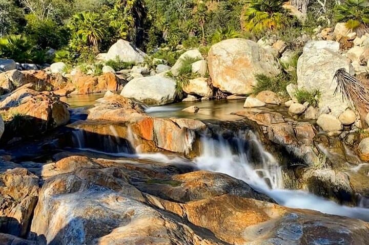 Sierra de la Laguna Waterfall Hike — Private Day Trip from Cabo San Lucas photo 5