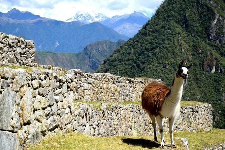 Machu Picchu by Train: 3-Day Urubamba Valley Journey to the Inca Citadel photo 2