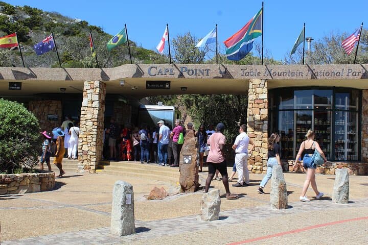Cape Point & Boulders Penguins: Full‑Day Tour from Cape Town photo 2