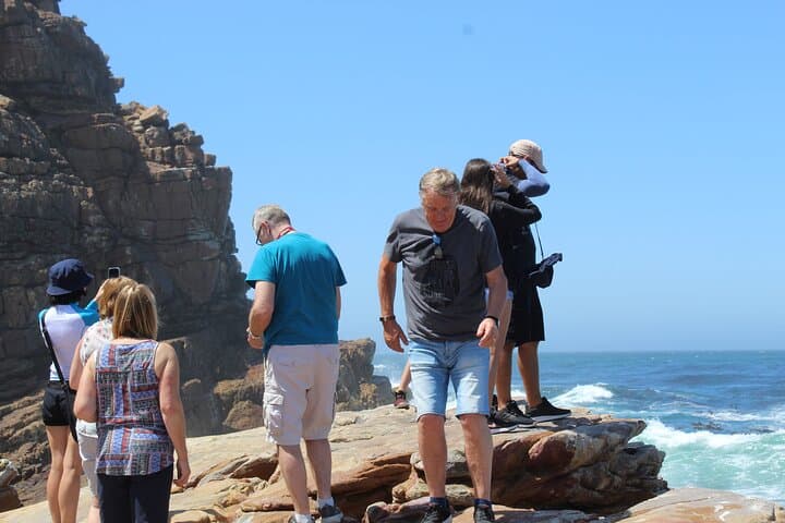 Cape Point & Boulders Penguins: Full‑Day Tour from Cape Town photo 5