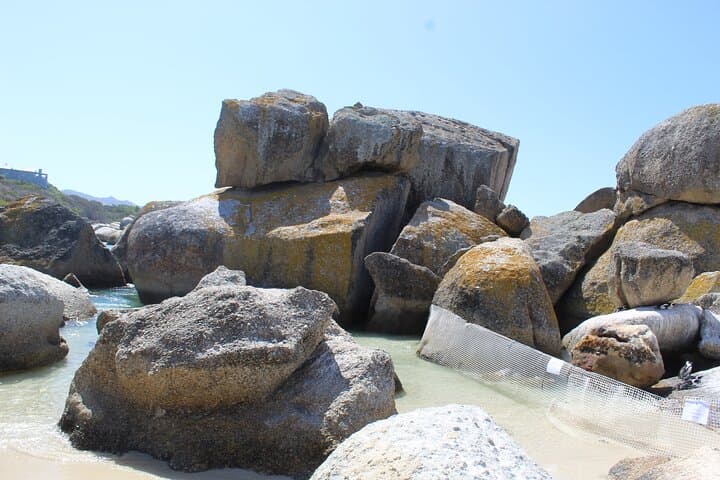 Cape Point & Boulders Penguins: Full‑Day Tour from Cape Town photo 6