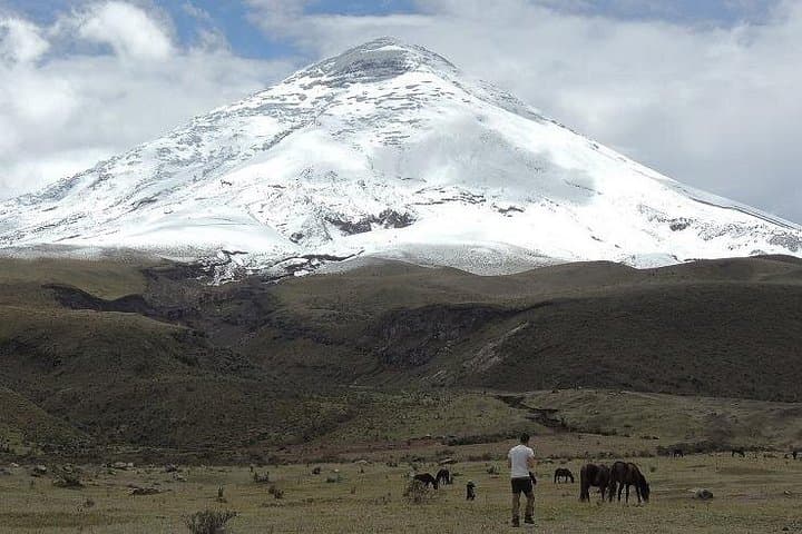 Cotopaxi Day Trip: Volcano Views, Páramo Hikes & Inca Hacienda Lunch photo 2