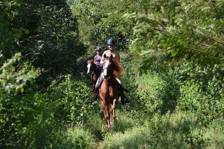 Horseback Ride Through Maroma Jungle to Playa Maroma Beach photo 3
