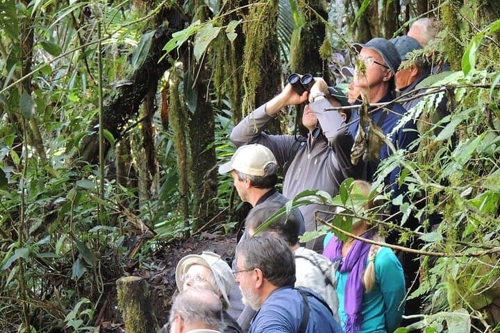 2-Day Quito Condor Birdwatching & Papallacta Hot Springs