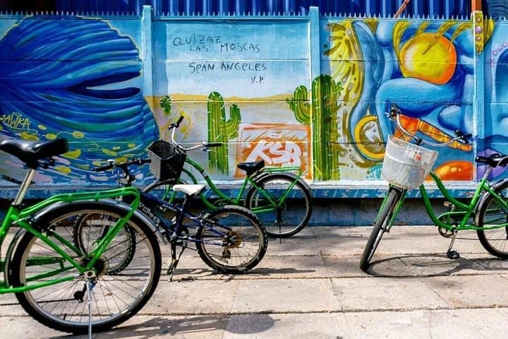 Explore Santiago by Bike: City Highlights & Parks Half-Day Tour
