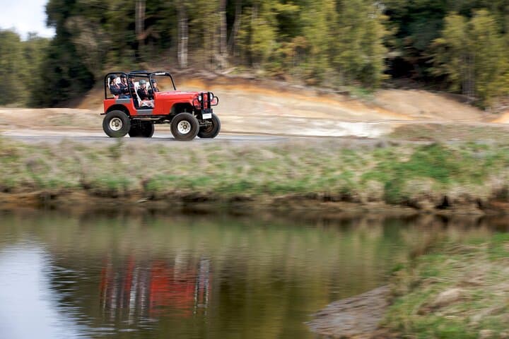 Rotorua High-Speed Karting and Monster 4x4 Thrill Ride photo 6