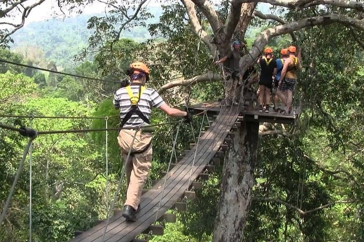 Pongyang Jungle Zipline Chiang Mai: 34-Platform Canopy Coaster Adventure photo 5