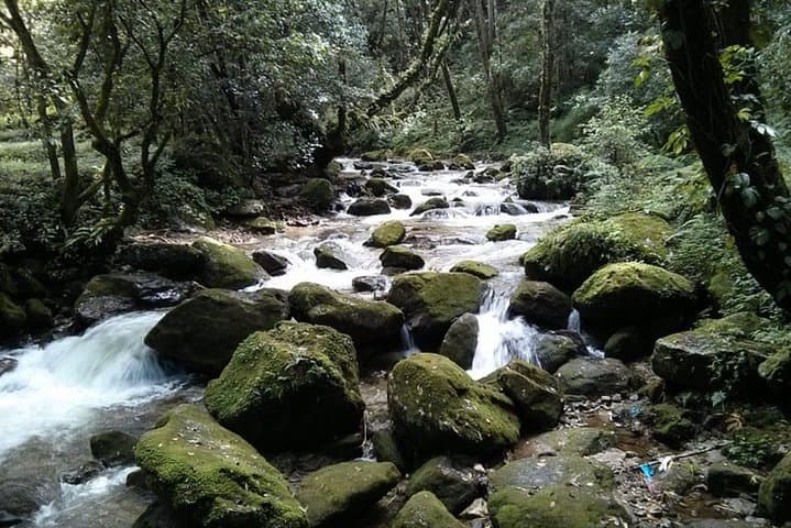 Half-Day Budanilkantha Hiking Tour — Kathmandu Temple Walk & Short Hike photo 1