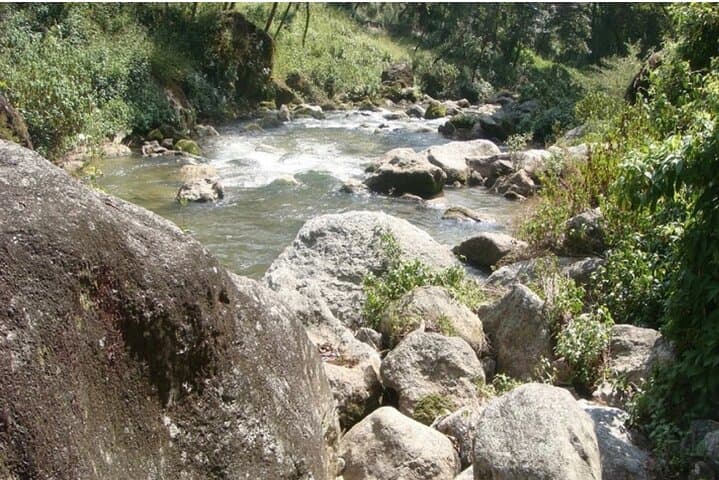 Half-Day Budanilkantha Hiking Tour — Kathmandu Temple Walk & Short Hike photo 3