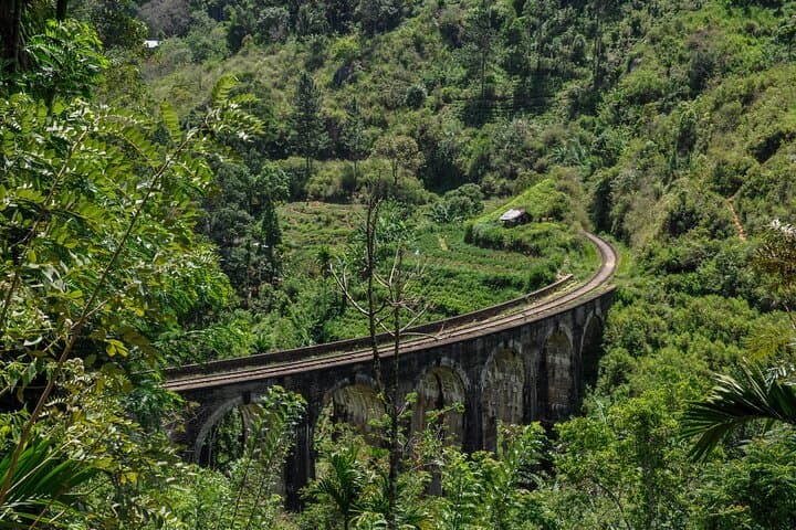 Ella Three Icons Hike: Ella Rock, Nine Arch Bridge & Little Adam's Peak in One Day photo 4