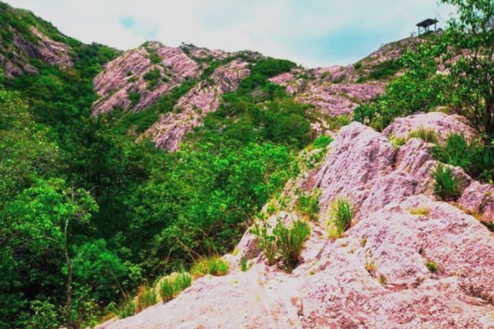Ritigala, Kala Wewa & Namal Uyana: Full-Day Natural and Archaeological Circuit from Dambulla photo 4