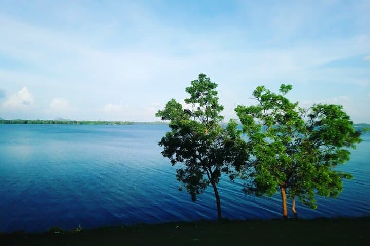 Ritigala, Kala Wewa & Namal Uyana: Full-Day Natural and Archaeological Circuit from Dambulla photo 5