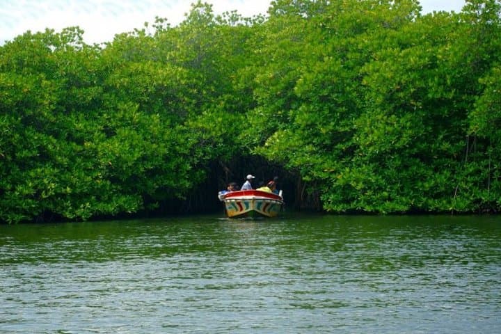 Southern Coast Highlights and Madu River Safari from Bentota: Galle Day Tour photo 2